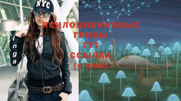 прущие крисы Арсеньев